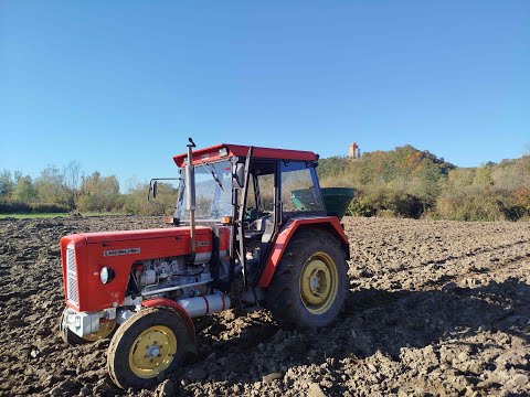 Lime Spreading 2025 Ursus C360 with Agromet Brzeg Spreader in Action