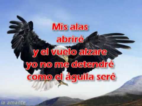 Nancy Amancio - aguila - YouTube