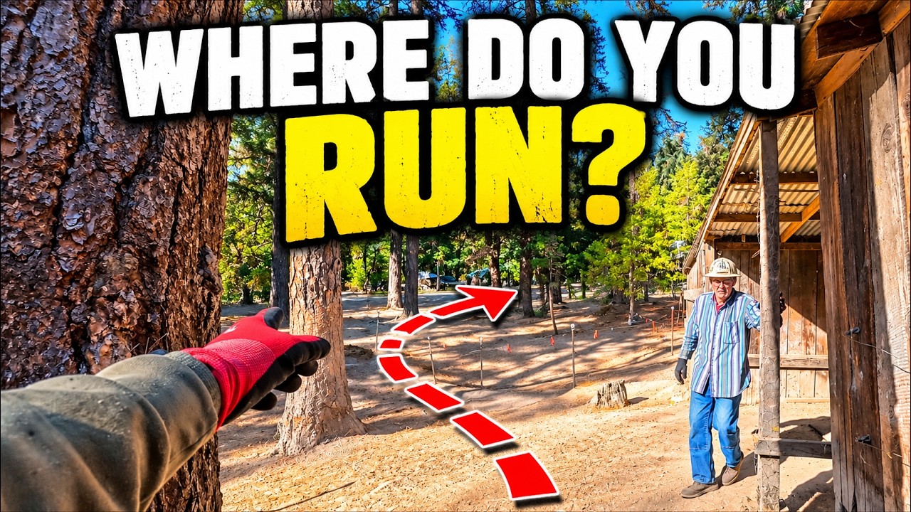 Dead Tree — Plan Your Escape Before You Cut