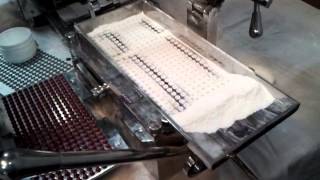 Manual Capsule Filling Machine