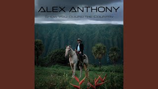 I Just Wanna Love You