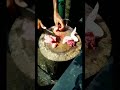 𝗖𝗵𝗶𝗰𝗸𝗲𝗻 𝗸𝗮𝘁𝘁𝗶𝗻𝗴 𝘃𝗹𝗼𝗴 𝗹 𝗙𝗿𝗲𝘀𝗵 𝗺𝗲𝗮𝘁🐔#shorts #viralvideo #chicken #chickenvlog