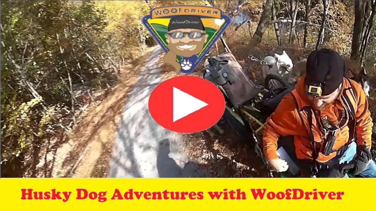 Adventures of Husky Dogs RUFFHour on Lehigh Valley Gorge Part 6 husky siberiano blanco