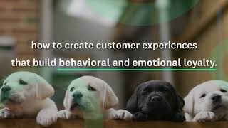 Building Brand Loyalty through Emotion-based CX