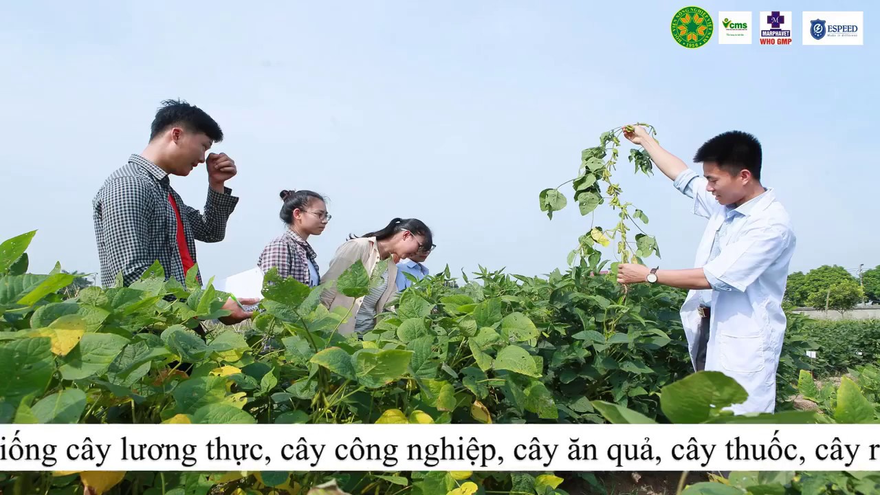 Khoa học cây trồng | Ngành Khoa học cây trồng