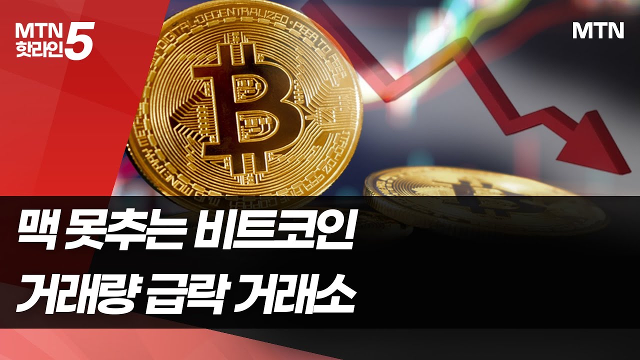 디지털 금 맞나…맥 못추는 비트코인 / 머니투데이방송 (뉴스)