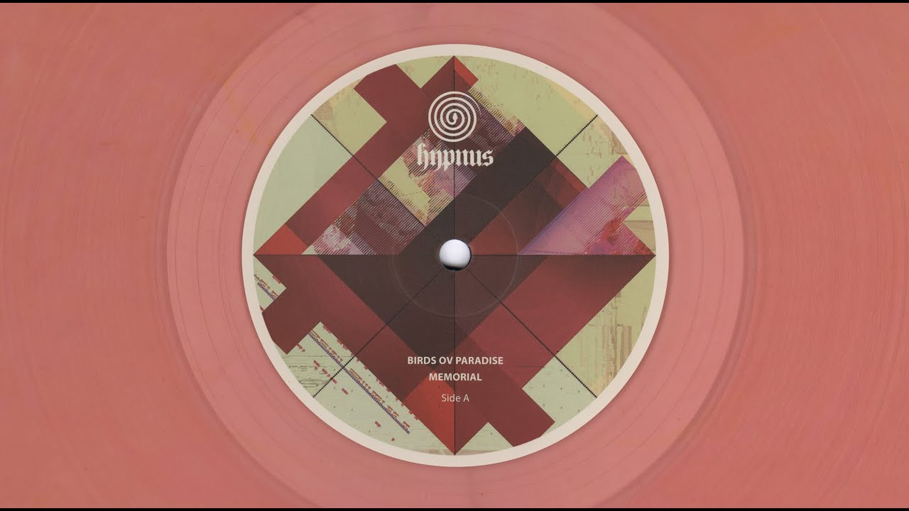 Watch Birds ov Paradise - Gustaf on YouTube Watch Birds ov Paradise - Gustaf on YouTube