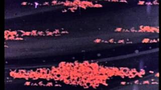 Colonel Bleep Earth From Outer Space