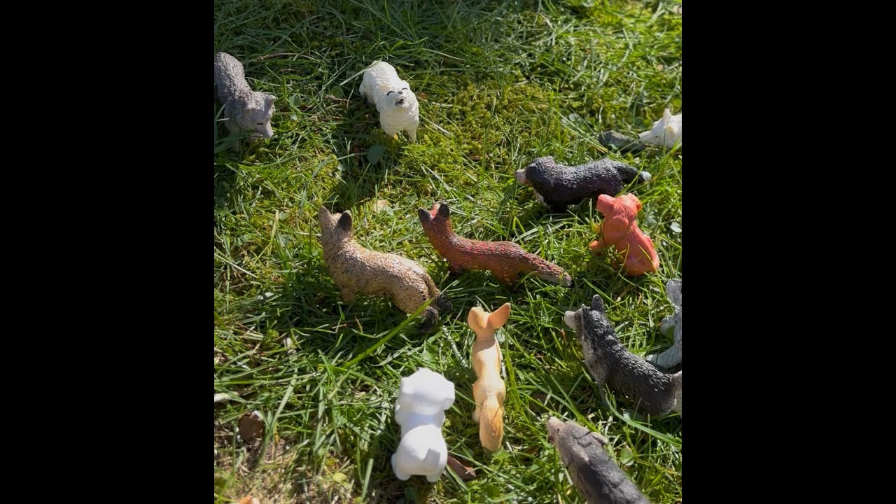 Crimson Claws | Blood pack beginnings  (Ep.1)