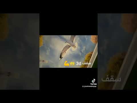 ٣٢ شارع قدري السيده زينب أمام حي السيده زينب