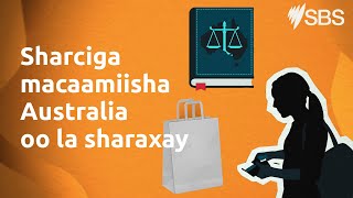 Somali: Australian Consumer Law Explained | Explainer Video | Settlement Guide
