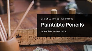 Pencil That Can Grow into Plants