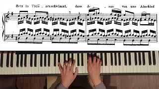St Matthew Passion: 12. Wiewohl mein Herz in Tränen schwimmt (piano transcription)