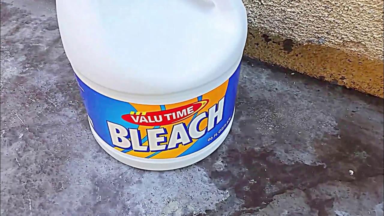 Kill Maggots With Bleach YouTube