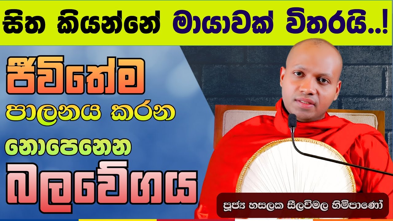සිතුවිලි නතර කරලා විශ්වය එක්ක සම්බන්ධ වෙමු | Hasalaka Seelavimala Thero