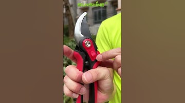 SK-5 Suitable for Palm Size Opening Width Gardening Pruner #pruning #scissors Sharp Precision #prune