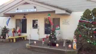 SPCA of Westchester Cats in "My Favorite Things"