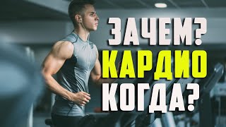 Для Чего и Когда нужно заниматься Кардио?!