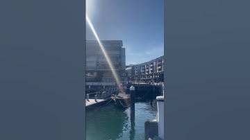 Drift - Robot Koch - currently my favourite song