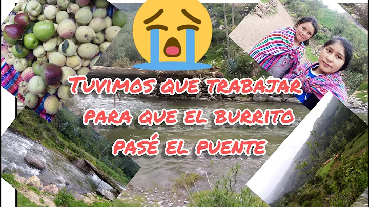 (FUIMOS A COGER DURAZNOS A PALLACCOCHA) De regreso...