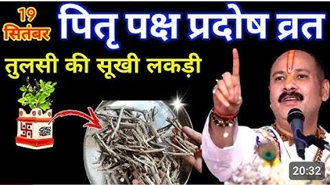 19 सितंबर प्रदोष व्रत के दिन तुलसी की सूखी लकड़ी वाला उपाय जरुर करे || Pradeep Ji Mishra