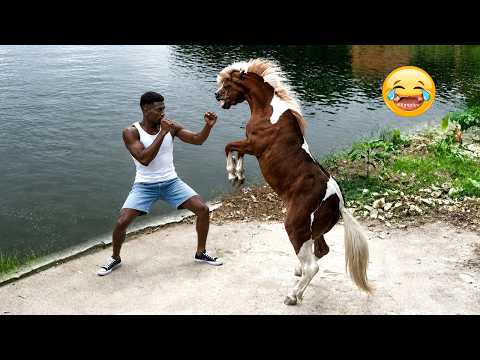 You Laugh, You Lose | Funniest Videos You’ll See Today | Try Not To Laugh