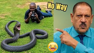 Ketawa Berarti Kalah | Video Paling Lucu yang Akan Kamu Tonton Hari Ini | Coba Jangan Tertawa