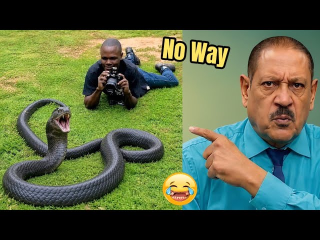 You Laugh, You Lose | Funniest Videos You’ll See Today | Try Not To Laugh