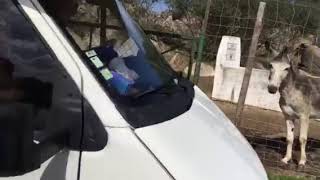 Alqueva Rural Camping , Pedrogao do Alentejo