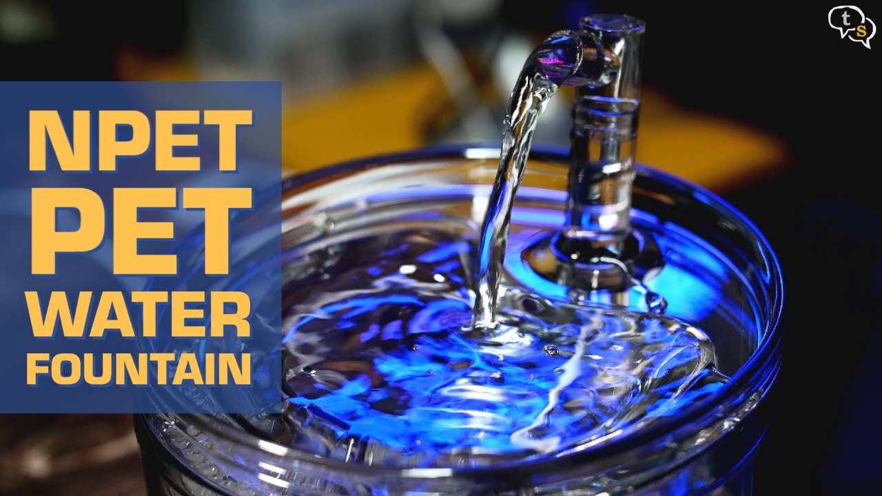 Npet Pet Water Fountain Pamper your Fur Babies YouTube
