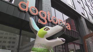 New Dogtopia opening in downtown Cleveland: Ready Pet GO!