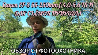 Объектив Canon EF-S 55-250mm f/4.0-5.6 IS II для съемок природы. Обзор от фотоохотника.