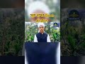 মধুর সুরে তেলাওয়াত সূরা আন নাসর #তেলাওয়াত #তেলাওয়াতুল কুরআন