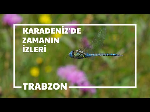Trabzon Tanıtım Filmi