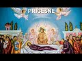 Pricesne Postul Sfintei Mării 2021 ✝ O, Măicuţă Sfântă te rugăm fierbinte ✝ Pricesne ortodoxe 2021 ✝