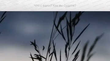 Сура 37 «Ас-Саффат» | аяты 139-182 | чтец Умайр Шамим. Surah 37 «As-Saffat» #umairshamim #умайршамим