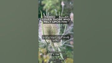 051 Quran Quotes In English Urdu Quran Kareem القرآن الكريم