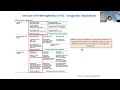 Stratification of HCC Towards Precision Medicine