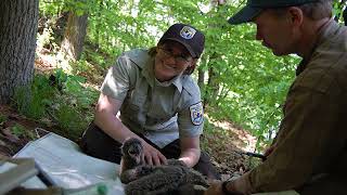 Career spotlight: United States Fish and Wildlife Service