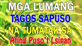 1 Hour Mga Lumang Kanta Stress Reliever - Tagsos Sa Puso - Pamatay Puso Tagalog Love Songs 60s 70s