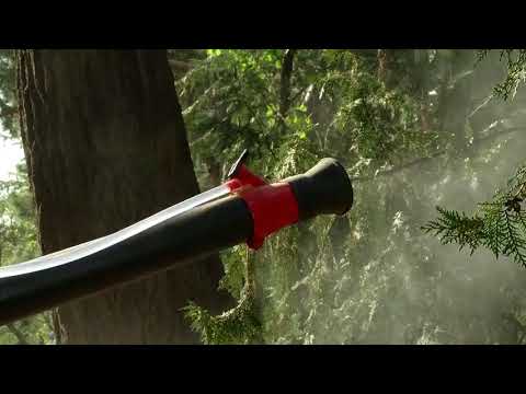 აზიური ფაროსანას წინააღმდეგ ქიმიური წამლობა