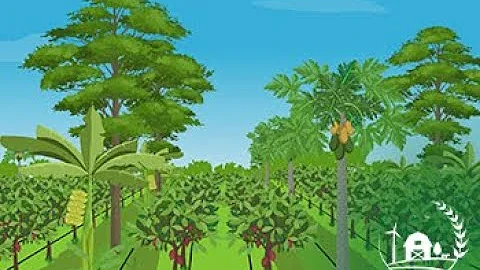 Enhancing Landscape Management