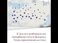 Подчиненные Навального накануне объявили об «абсолютно новой стратегии». Они запустили сайт, на кото