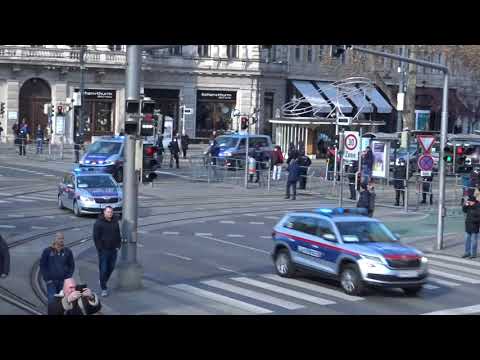 Video: Demonštrácia Krok Za Krokom: Paul Leveille