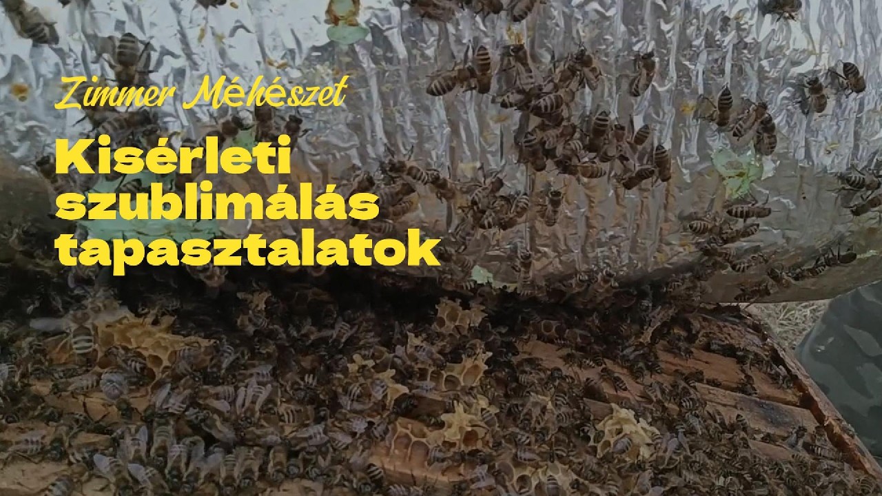 Kísérleti szublimálás tapasztalatok