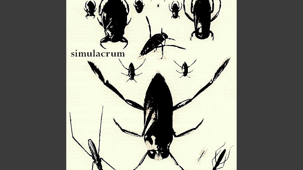 Obejrzyj Different Pages w YouTube Obejrzyj Different Pages w YouTube