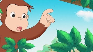 Curious George 🐵 George and Allie's Lawn Service 🐵Compilation🐵 HD 🐵 Cartoons For Children
