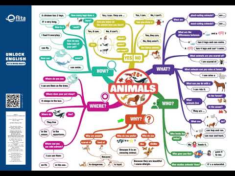 Mindmap1 Eflita -