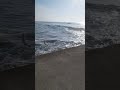 まったり🍵石持好調!!️おっちゃんと 雑談#fishing #サーフゲーム #九十九里浜