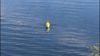 BOBBER Fishing A HIDDEN IOWA SPILLWAY HERE!!! (TONS OF ACTION!!!)